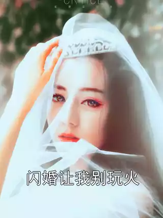 闪婚让我别玩火