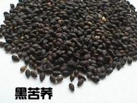 女人喝黑苦荞茶有什么好处?爱美的你赶紧来看看吧!