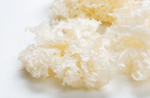 白木耳的功效与作用是什么?白木耳竟然有这么多你不知道的神奇功效!