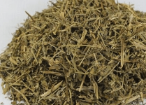透骨草能泡水喝吗？透骨草的用量介绍！