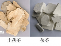 怎样区别茯苓与土茯苓?教你区分茯苓和土茯苓最简单的区分方法！