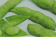 不了解毛豆排骨汤?营养价值高到让你惊叹!