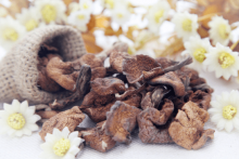 东北榛蘑贵不贵?教你透析东北榛蘑价格的详情!