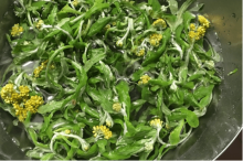 清明菜煮瘦肉能止咳吗?清明菜不止煮瘦肉一种吃法!  