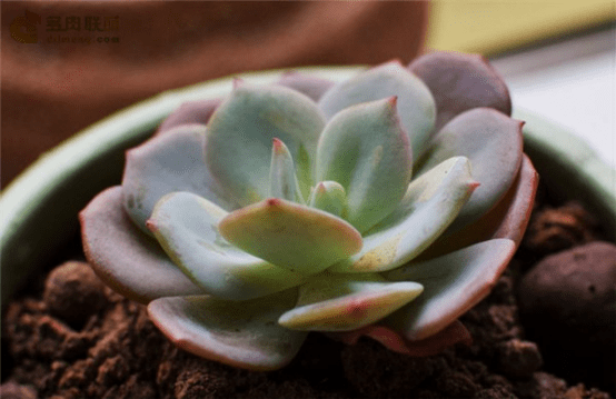 blob.png blob.png