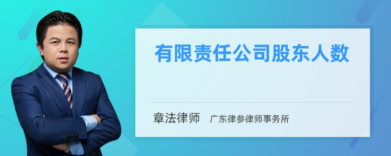 有限责任公司股东人数