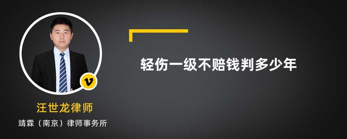 轻伤一级不赔钱判多少年